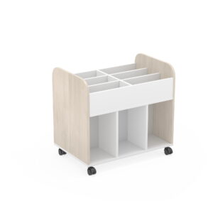 DAN LIBRERIA ESCOLAR