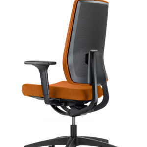 INDEED SILLA GALARDONADA