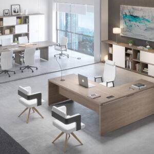 DESPACHO DIRECCIÓN NEREO3